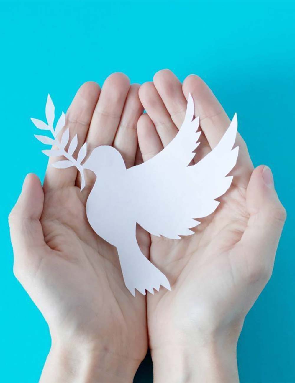 Noto Penindula Earthquake Disaster Relief Act